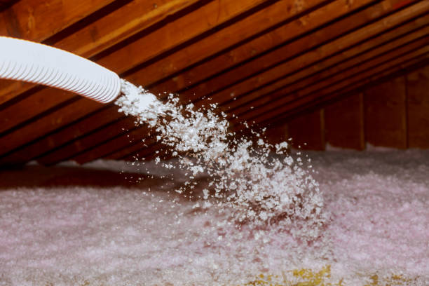 Best Attic Insulation Installation  in Bunnell, FL