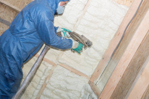 Best Wall Insulation Installation  in Bunnell, FL